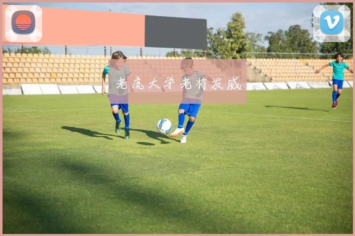 老虎大学老将发威
