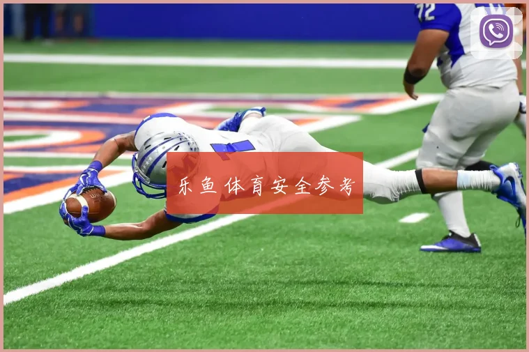 乐鱼 体育安全参考