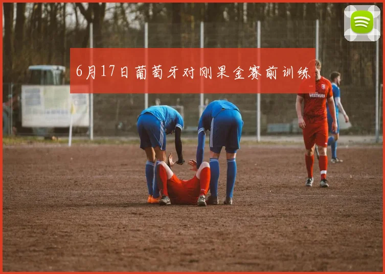 6月17日葡萄牙对刚果金赛前训练