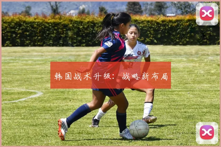 韩国战术升级：战略新布局