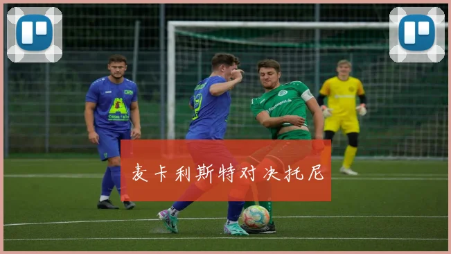 麦卡利斯特对决托尼