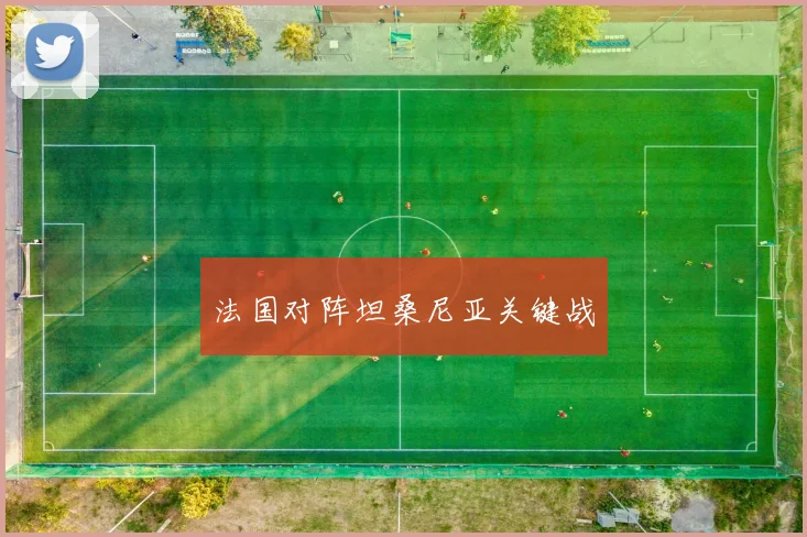 法国对阵坦桑尼亚关键战