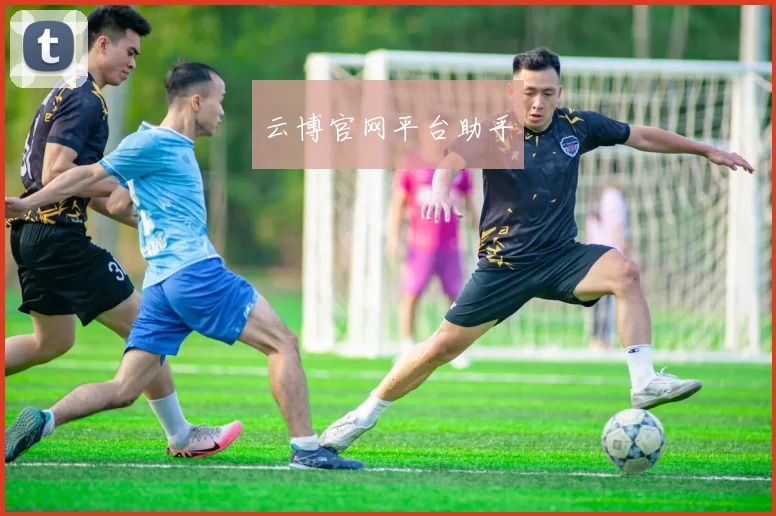云博官网平台助手