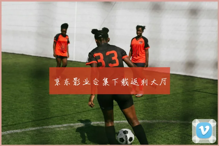 京东影业合集下载返利大厅