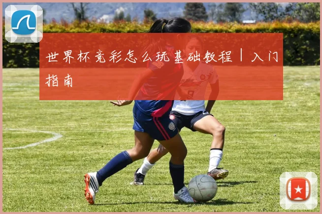 世界杯竞彩怎么玩基础教程｜入门指南