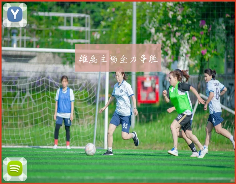 雄鹿主场全力争胜