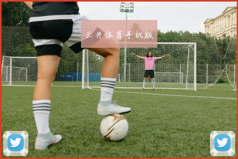 云开体育手机版