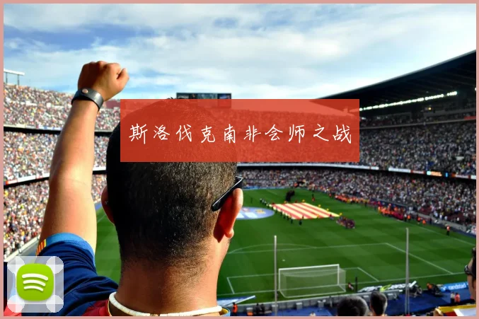 斯洛伐克南非会师之战