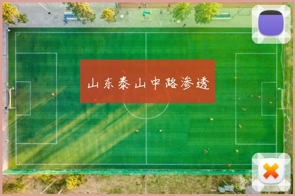 山东泰山中路渗透