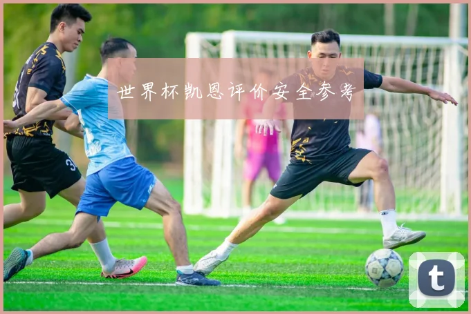 世界杯凯恩评价安全参考