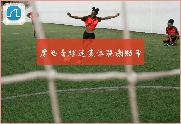 摩洛哥球迷集体跪谢赔率