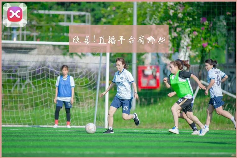 欣喜!直播平台有哪些