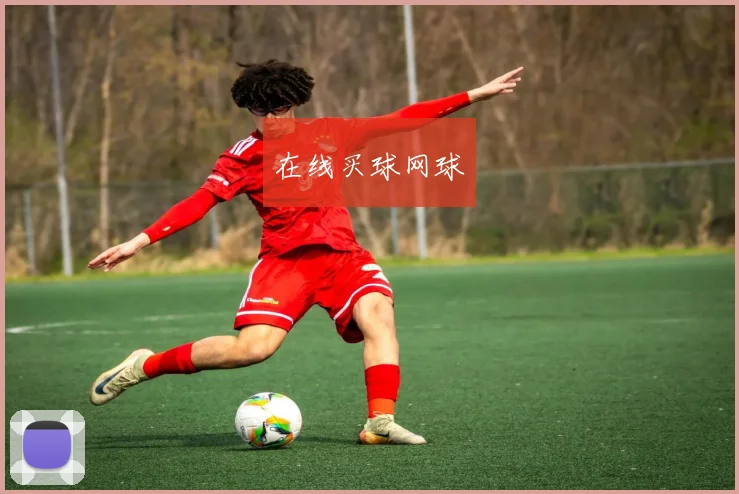 在线买球网球
