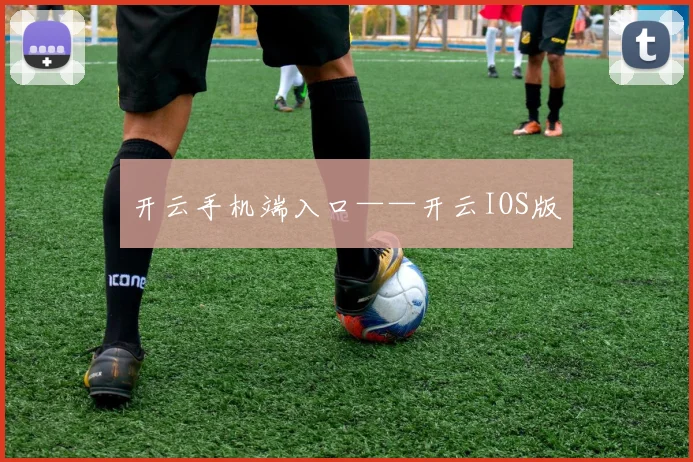 开云手机端入口——开云IOS版