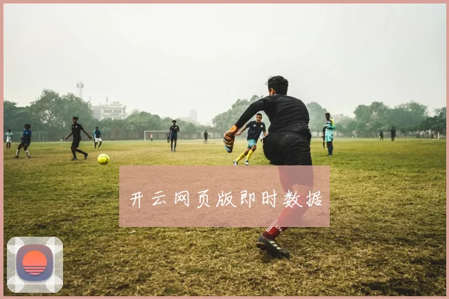 开云网页版即时数据