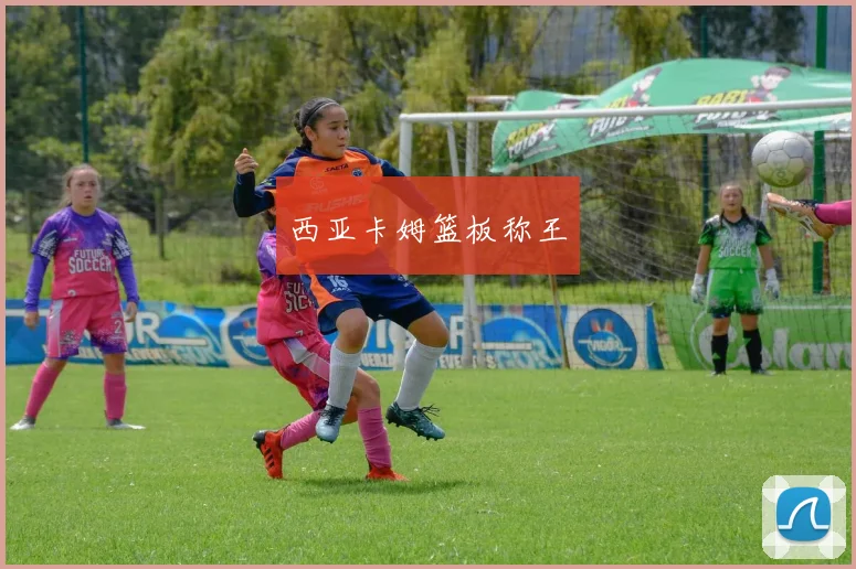 西亚卡姆篮板称王