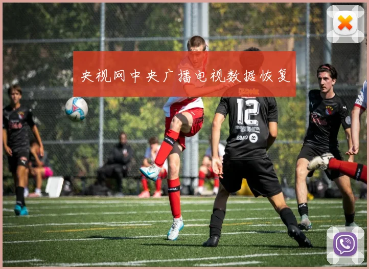央视网中央广播电视数据恢复