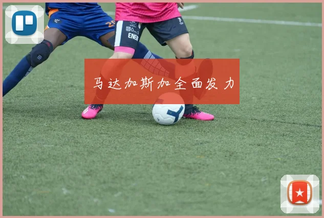 马达加斯加全面发力