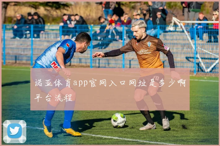 诺亚体育app官网入口网址是多少啊平台流程