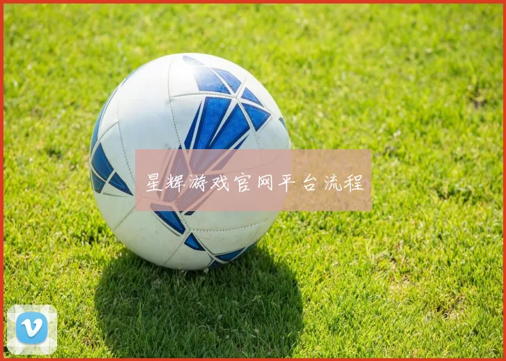 星辉游戏官网平台流程