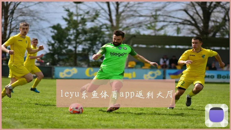 leyu乐鱼体育app返利大厅
