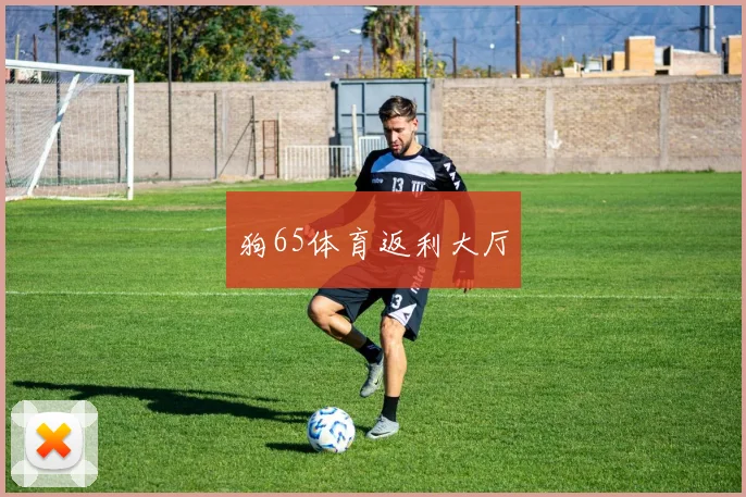 狗65体育返利大厅