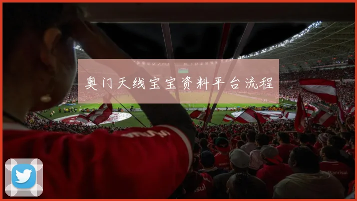奥门天线宝宝资料平台流程