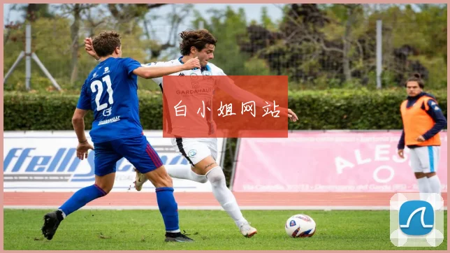 白小姐网站