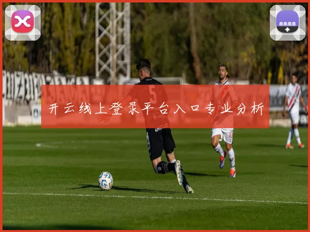 开云线上登录平台入口专业分析