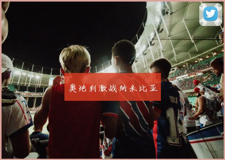 奥地利激战纳米比亚