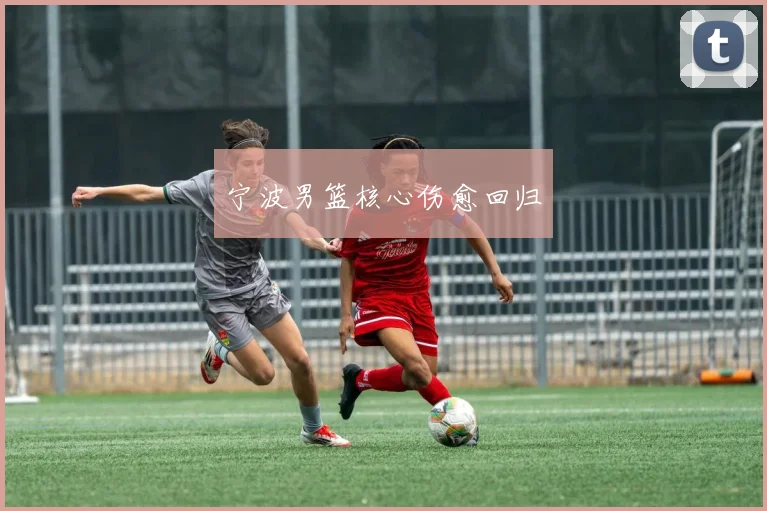 宁波男篮核心伤愈回归