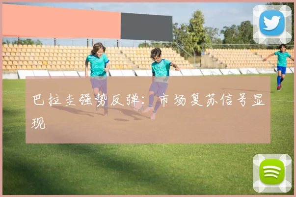 巴拉圭强势反弹：市场复苏信号显现