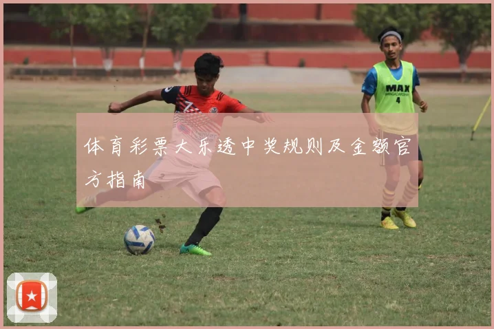 体育彩票大乐透中奖规则及金额官方指南