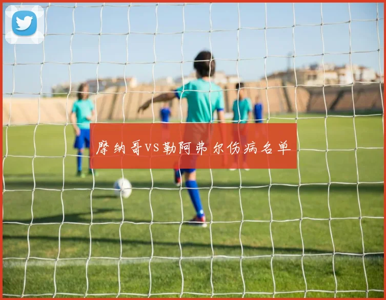 摩纳哥vs勒阿弗尔伤病名单