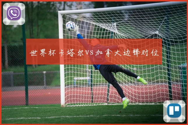 世界杯卡塔尔vs加拿大边锋对位