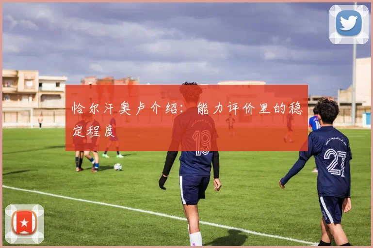 恰尔汗奥卢介绍:能力评价里的稳定程度
