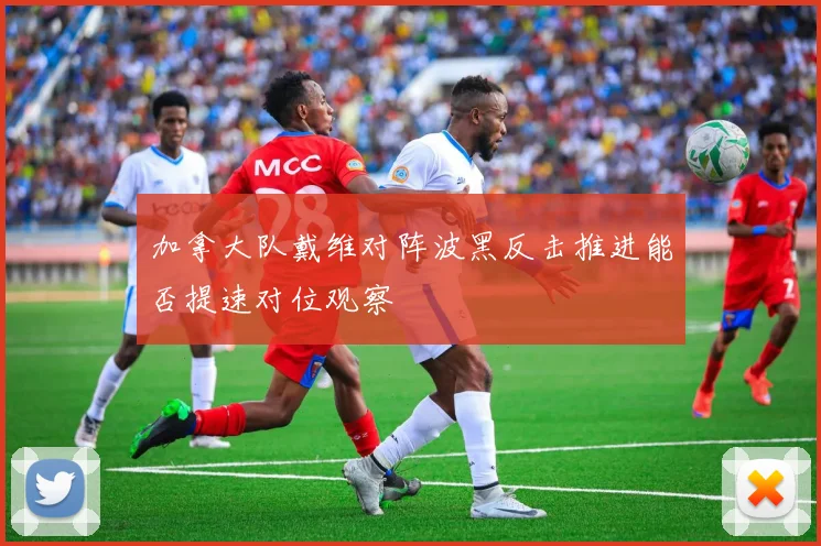 加拿大队戴维对阵波黑反击推进能否提速对位观察